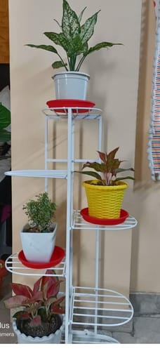 Customer photo review of UnitedCrafts 6 Tier 7 Potted Metal Plant Stand Multiple Shelves