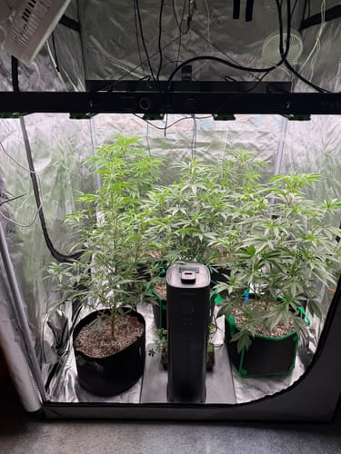Customer photo review of (2 in 1) Bam / Water Filter Bucket System