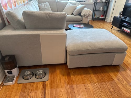 Customer photo review of Multifunctional Cat Scratching Carpet