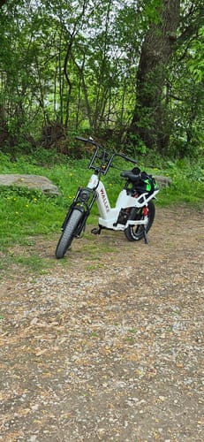 Luis L. review of Wallke H7 Step-thru Ebike (Canada Only) image 2 out of 2