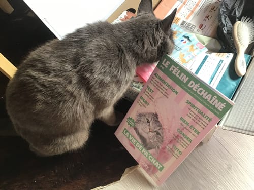 Avis photo d'un client sur Croquettes Chat Stérilisé Sans Céréales - Poulet