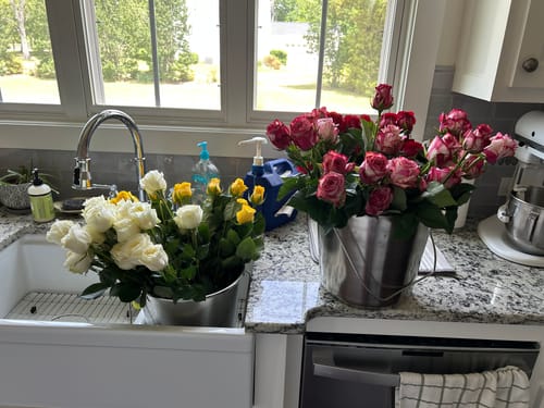 Customer photo review of 100 Choose Your Colors Bulk Roses - Mother's Day Wholesale