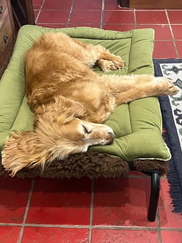 Customer photo review of Moss Green Cuddle Soft & Moss Green Velvet Luxury Reversible Pad