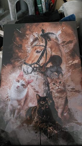 Customer photo review of Graffiti Pawtrait