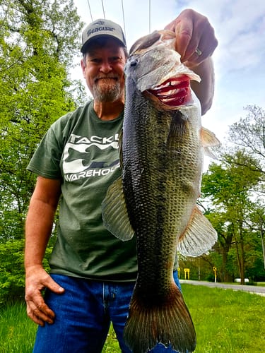 Customer photo review of 200% Sensitive Tungsten Worm Weights | Bullet Weights | 2 Colors 5 Pack