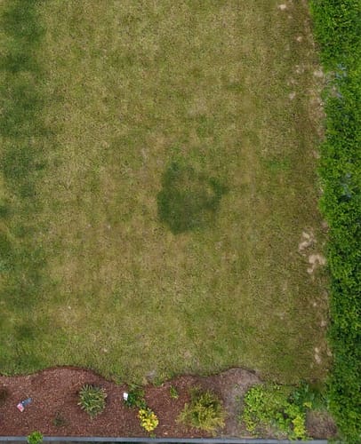 Customer photo review of Animatio® Stärkungsdünger