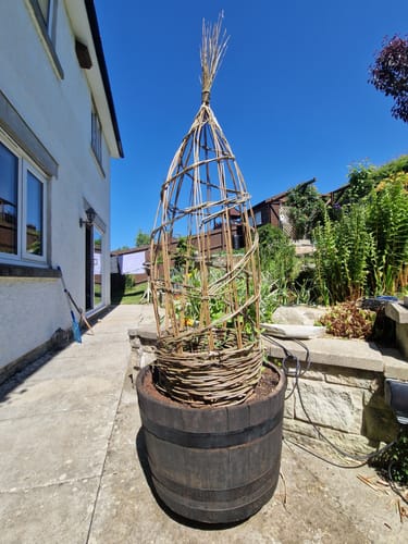Customer photo review of The Willow Plant Support - Online Course and Kit