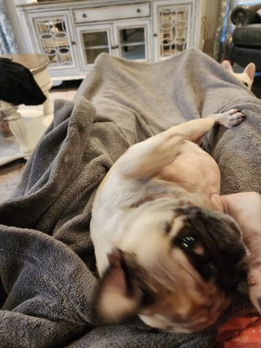 Customer photo review of DA-01™ Daily All-in-One Complete Care