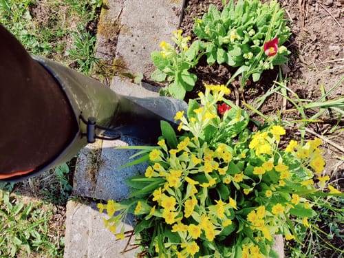 Customer photo review of Vaistoa Katve 2 -paljasjalkakumisaappaat