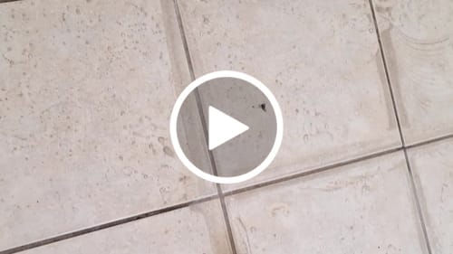 Customer video review of Cepillo de Limpieza Multiusos (Mango ajustable)