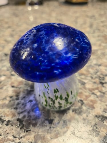 Customer photo review of Small Glass Mushroom, Green Spotted with Red Cap