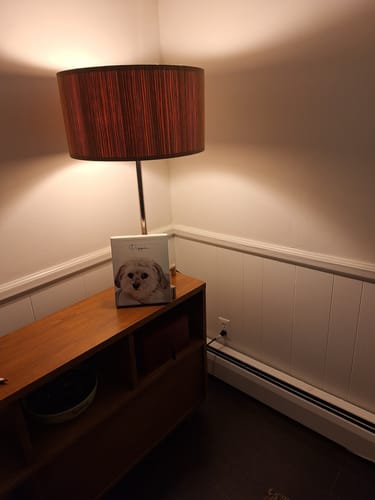 Customer photo review of Pet Art Canvas Wrap