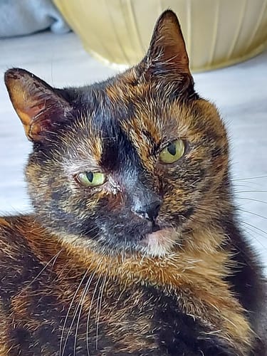 Customer photo review of Waterverf Portret