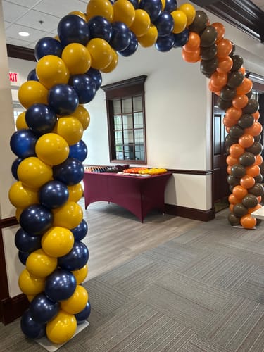 Customer photo review of 10x8 Ft Aluminum Balloon Arch Frame Wedding Arch Stand
