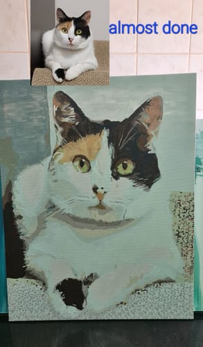 Customer photo review of Custom Paint by Numbers Kit