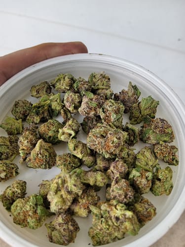 Customer photo review of Bulk THCA Smalls