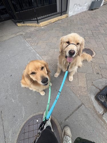 Customer photo review of Lead-All Pro