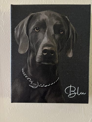 Customer photo review of Pet Art Canvas Wrap