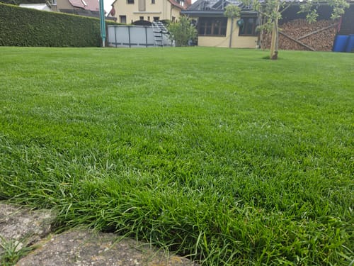 Customer photo review of Animatio® Profi-Rasendünger