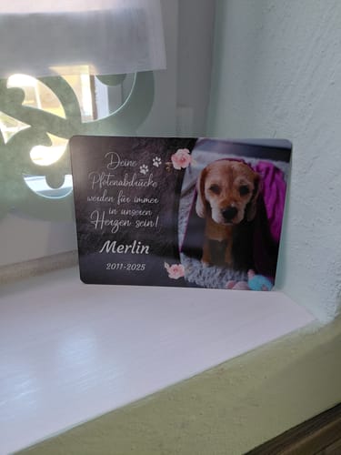 Customer photo review of Hunde Gedenktafel mit Foto & Spruch (UV- & Wetterfest)