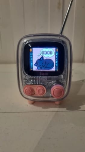 Customer photo review of Divoom Tiivoo-2 FM Radio Bluetooth Speaker With Alarm Clock And Upload Photos