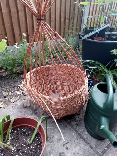 Customer photo review of The Shopping Basket - Course and Kit