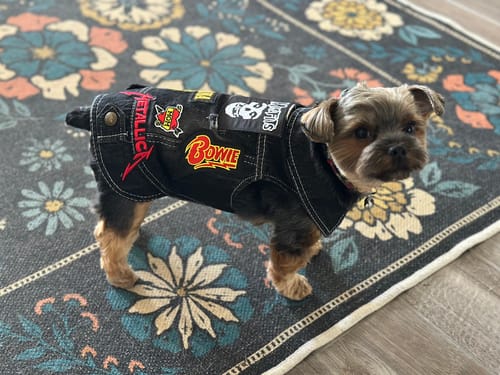 Customer photo review of Denim Rocker Vest - MISFITS