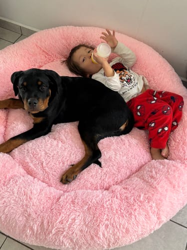 Customer photo review of Cama Antiestrés para Perros