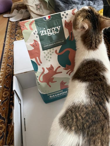 Avis photo d'un client sur Croquettes Chat Stérilisé Sans Céréales - Saumon