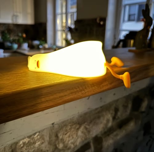 Customer photo review of Rabbit Lamp