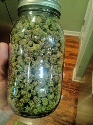 Customer photo review of Gorilla Glue Greenhouse THCA
