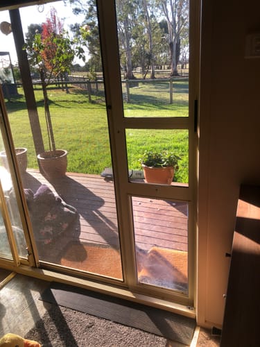 Customer photo review of Patio Pet Door Insert