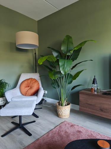 Customer photo review of Strelitzia Kunstplant 180cm