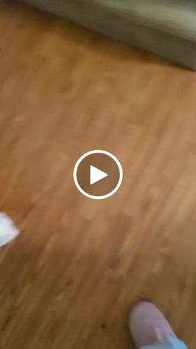 Janelle H. review of SPEEDY TAIL 2.0 image 1 out of 1