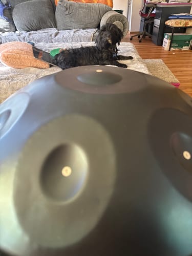 Customer photo review of Cosmos Handpan - Serene Blue 9 Notes in D Minor - Tambourine Gift Set