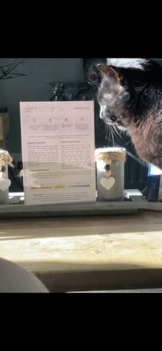 Customer photo review of 1 Month Supply – 1 Cat