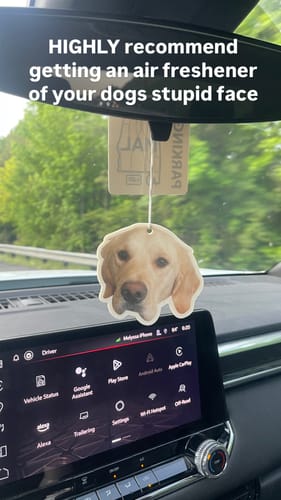 Customer photo review of Custom Shape Air Freshener