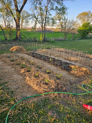 Customer photo review of The Plow Treadlite Broadfork | 20" wide | XL 14" tines