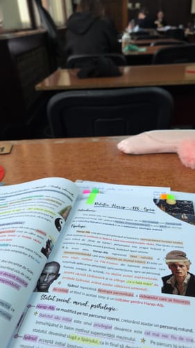 Recenzie cu fotografie de la un client despre Carte Română Bacalaureat Bacademia (temă și viziune, caracterizare, relație) - Ediția II