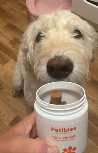 Customer photo review of Chill Chews