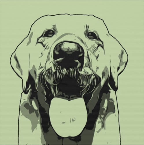 Customer photo review of Personalized Minimalistic Pet Portrait - Framed Square Canvas