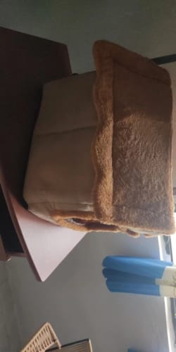 Customer photo review of CozyDen™ Foldable Pet House