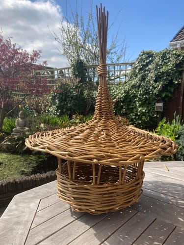 Customer photo review of The Bird Feeder - Online Course and Kit