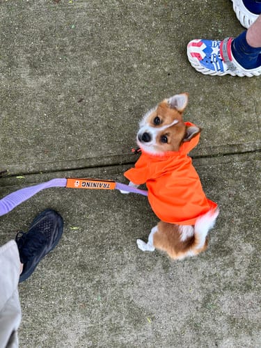 Customer photo review of Nylon Rainbreaker