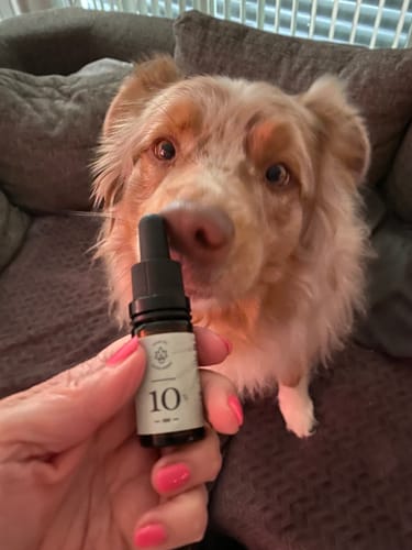 Customer photo review of CBD-Öl 10% in Bio-Hanföl