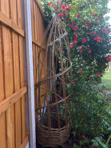 Customer photo review of The Willow Plant Support - Online Course and Kit