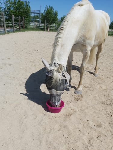 Customer photo review of Kristallkraft Coolly