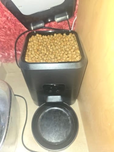 Customer photo review of Smart Pet Feeder Automatic Cat Feeder Dog Slow Food Machine with Timed Quantitative Automatic Cat Food Dispenser Cat Dog Bowl