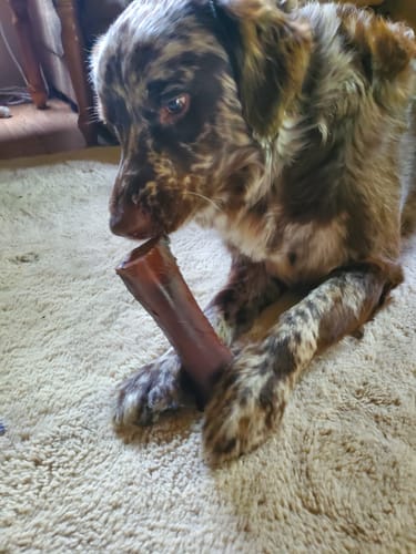 Customer photo review of Smoked Beef Marrow Bone