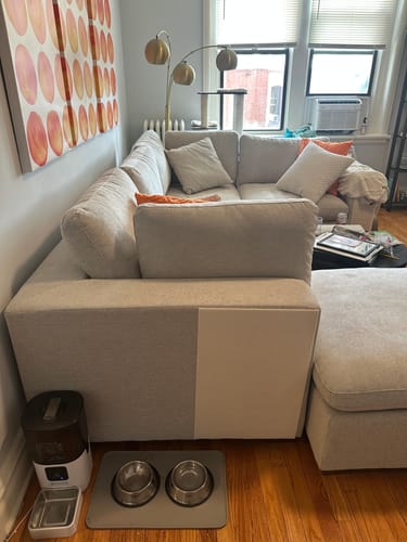 Customer photo review of Multifunctional Cat Scratching Carpet